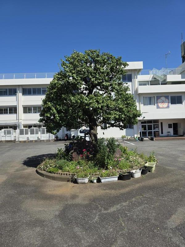 八ヶ岳