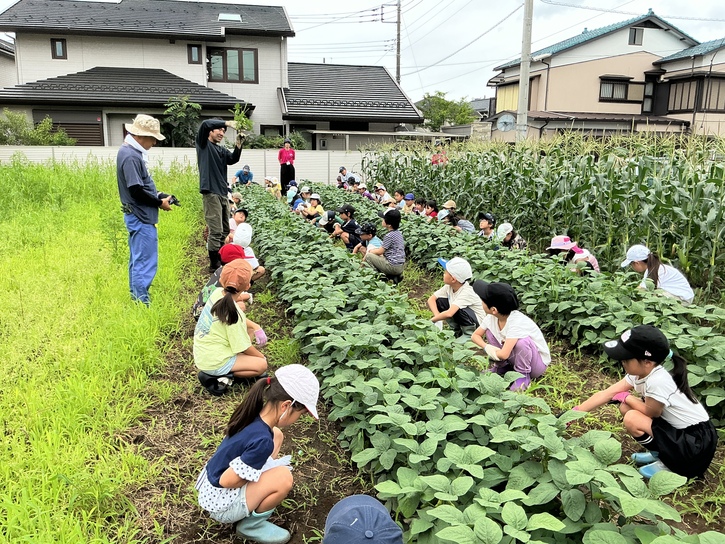 八ヶ岳