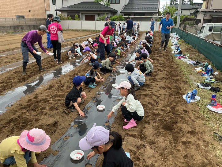 八ヶ岳
