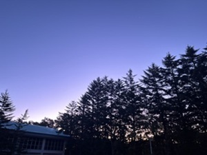 yatu