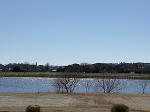 kawa