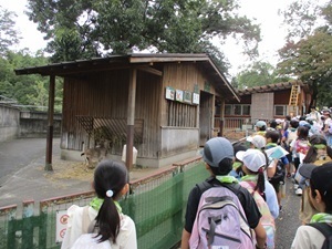 zoo