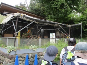zoo